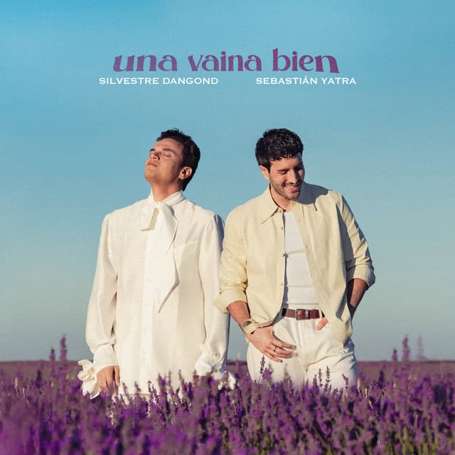 Una Vaina Bien